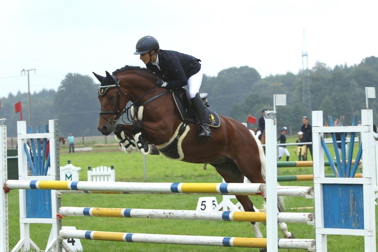 Quinn, Foto: Horse Media Wego